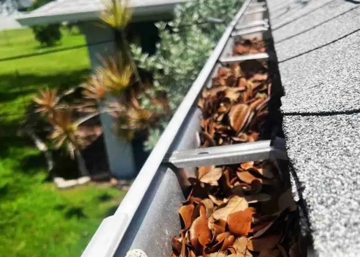 Charleston gutter cleaning home page